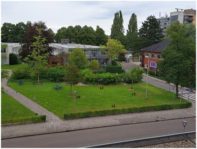 Designing stepping-stones landscapes: a 2D perspective does not lead to more standardization than an in-situ perspective